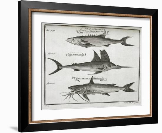 Fish-null-Framed Giclee Print