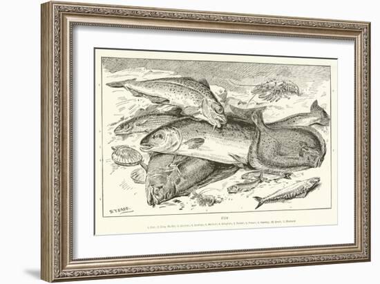 Fish-null-Framed Giclee Print