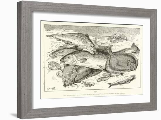 Fish-null-Framed Giclee Print