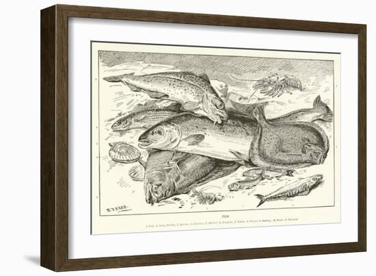 Fish--Framed Giclee Print