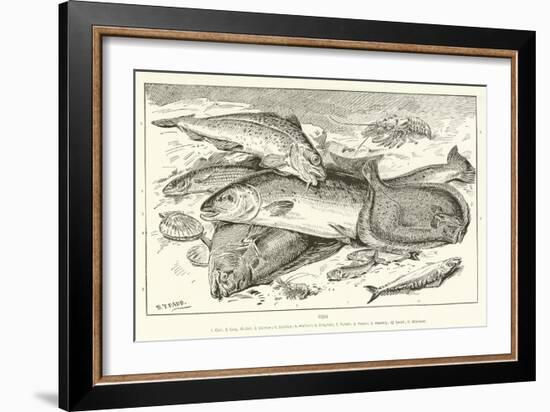 Fish-null-Framed Giclee Print