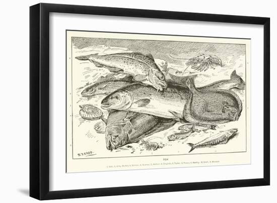 Fish-null-Framed Giclee Print