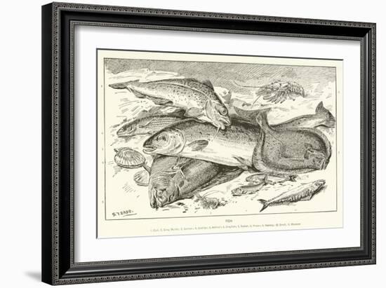 Fish-null-Framed Giclee Print