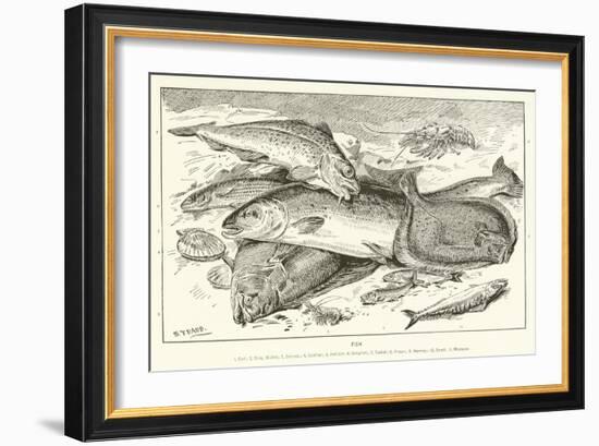 Fish-null-Framed Giclee Print