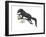 Fisher (Martes Pennanti), Mammals-Encyclopaedia Britannica-Framed Art Print