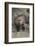 Fisher-DLILLC-Framed Photographic Print