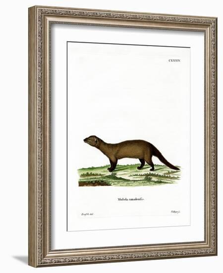 Fisher-null-Framed Giclee Print