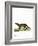 Fisher-null-Framed Giclee Print