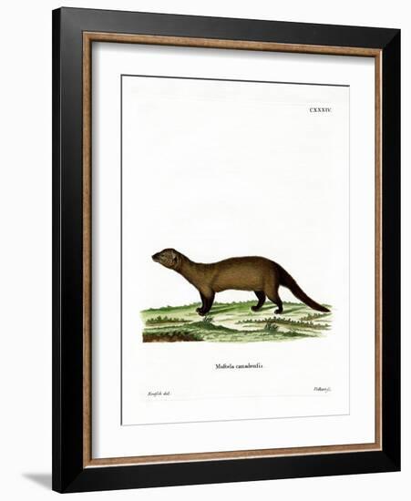 Fisher-null-Framed Giclee Print