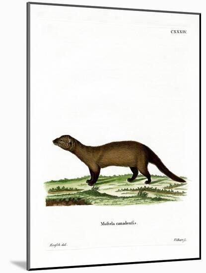 Fisher-null-Mounted Giclee Print