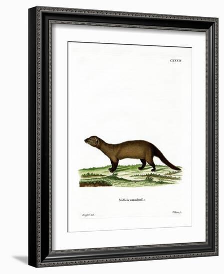 Fisher-null-Framed Giclee Print