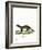 Fisher-null-Framed Giclee Print