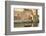 Fisherman Boat, the Old Port and Kasbah Wall, Bizerte, Tunisia, North Africa-Nico Tondini-Framed Photographic Print
