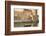 Fisherman Boat, the Old Port and Kasbah Wall, Bizerte, Tunisia, North Africa-Nico Tondini-Framed Photographic Print