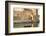 Fisherman Boat, the Old Port and Kasbah Wall, Bizerte, Tunisia, North Africa-Nico Tondini-Framed Photographic Print