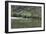 Fisherman Casting for Trout in the Rio Grande, New Mexico-null-Framed Photographic Print