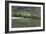 Fisherman Casting for Trout in the Rio Grande, New Mexico-null-Framed Photographic Print