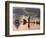 Fisherman Fishing with Cormorants on Bamboo Raft on Li River at Dusk, Yangshuo, Guangxi, China-Keren Su-Framed Photographic Print