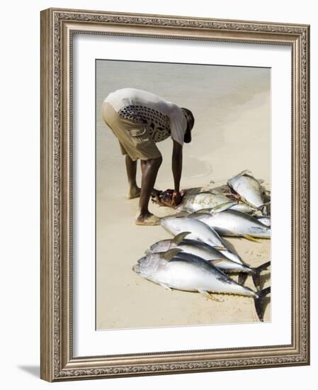 Fisherman Gutting Catch on Beach at Santa Maria on the Island of Sal (Salt), Cape Verde Islands-R H Productions-Framed Photographic Print