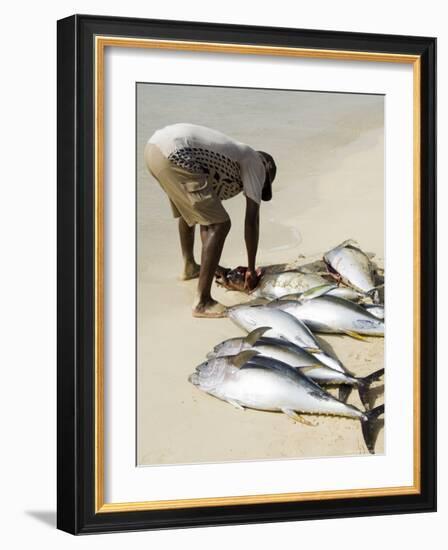 Fisherman Gutting Catch on Beach at Santa Maria on the Island of Sal (Salt), Cape Verde Islands-R H Productions-Framed Photographic Print