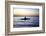 Fisherman in a Papyrus Boat, Lake Tana, Ethiopia, Africa-Simon Montgomery-Framed Photographic Print