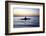 Fisherman in a Papyrus Boat, Lake Tana, Ethiopia, Africa-Simon Montgomery-Framed Photographic Print