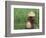 Fisherman In a Rice Field, Danang, Vietnam-Keren Su-Framed Photographic Print