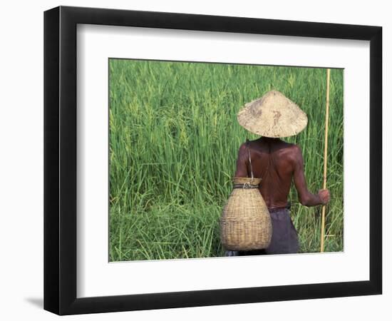 Fisherman In a Rice Field, Danang, Vietnam-Keren Su-Framed Photographic Print