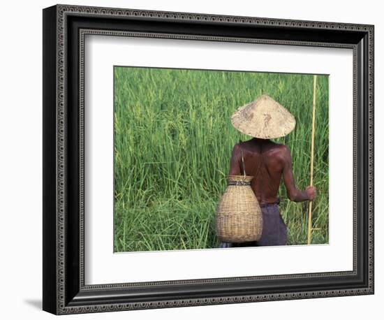 Fisherman In a Rice Field, Danang, Vietnam-Keren Su-Framed Photographic Print