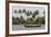 Fisherman in Traditional Boat on the Kerala Backwaters, Kerala, India, Asia-Martin Child-Framed Photographic Print