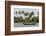 Fisherman in Traditional Boat on the Kerala Backwaters, Kerala, India, Asia-Martin Child-Framed Photographic Print