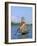 Fisherman, Inle Lake, Shan State, Myanmar (Burma), Asia-Sergio Pitamitz-Framed Photographic Print