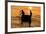 Fisherman Landing the Night Catch. Vietnam, Indochina-Tom Norring-Framed Photographic Print