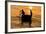 Fisherman Landing the Night Catch. Vietnam, Indochina-Tom Norring-Framed Photographic Print