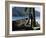 Fisherman, Maracas Bay, Northern Coast, Trinidad, West Indies, Central America-Aaron McCoy-Framed Photographic Print