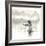 Fisherman, Sri Lanka, 2015-Lincoln Seligman-Framed Giclee Print