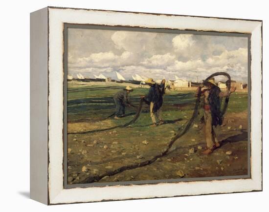 Fisherman Taking Up Nets, 1896-Joaquín Sorolla y Bastida-Framed Premier Image Canvas