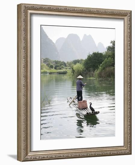Fisherman with Cormorants, Yangshuo, Li River, Guangxi Province, China-Angelo Cavalli-Framed Photographic Print