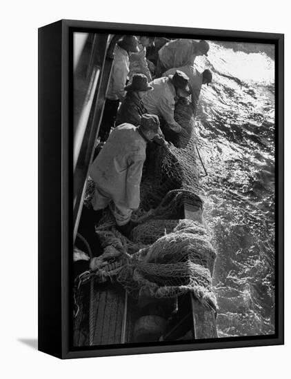 Fishermen Hauling Net onto Boat-Ralph Morse-Framed Premier Image Canvas