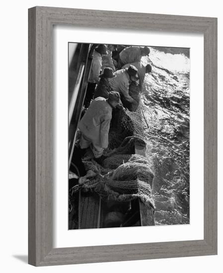 Fishermen Hauling Net onto Boat-Ralph Morse-Framed Photographic Print