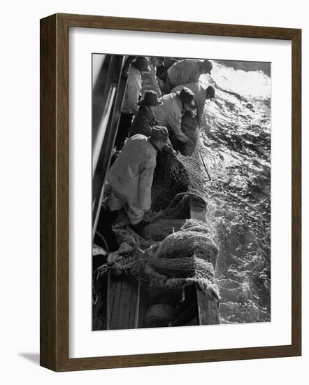 Fishermen Hauling Net onto Boat-Ralph Morse-Framed Photographic Print