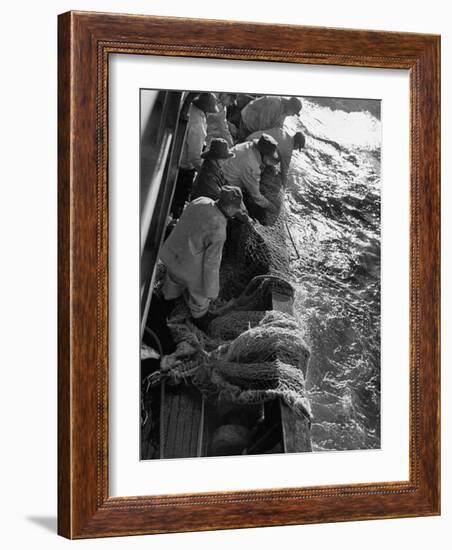 Fishermen Hauling Net onto Boat-Ralph Morse-Framed Photographic Print