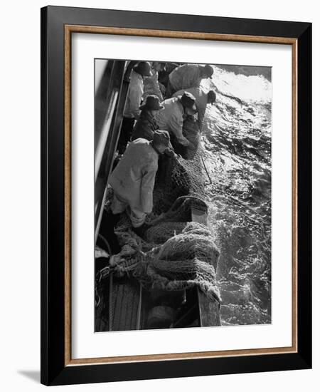 Fishermen Hauling Net onto Boat-Ralph Morse-Framed Photographic Print