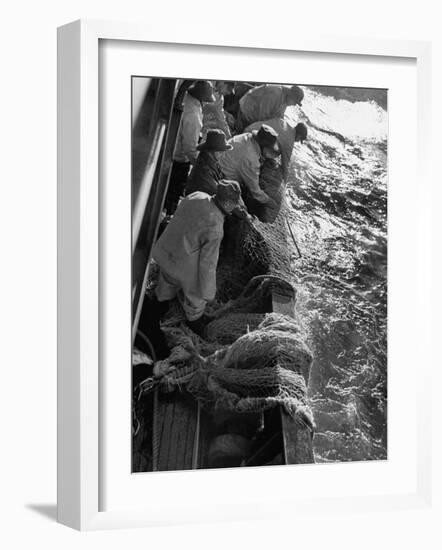 Fishermen Hauling Net onto Boat-Ralph Morse-Framed Photographic Print