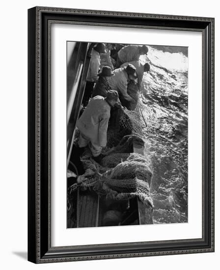 Fishermen Hauling Net onto Boat-Ralph Morse-Framed Photographic Print