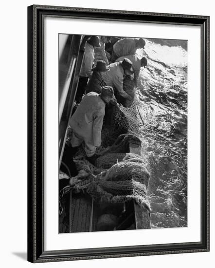 Fishermen Hauling Net onto Boat-Ralph Morse-Framed Photographic Print