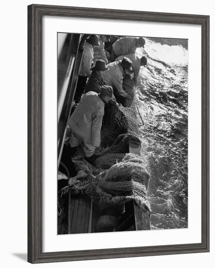 Fishermen Hauling Net onto Boat-Ralph Morse-Framed Photographic Print