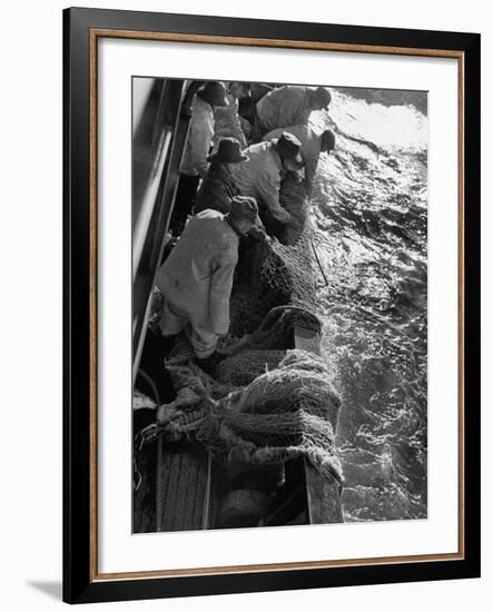 Fishermen Hauling Net onto Boat-Ralph Morse-Framed Photographic Print