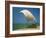 Fishermen in the Shade of a Sail on a Fishing Boat on the Beach at Negombo, Sri Lanka-Richardson Rolf-Framed Photographic Print