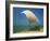 Fishermen in the Shade of a Sail on a Fishing Boat on the Beach at Negombo, Sri Lanka-Richardson Rolf-Framed Photographic Print